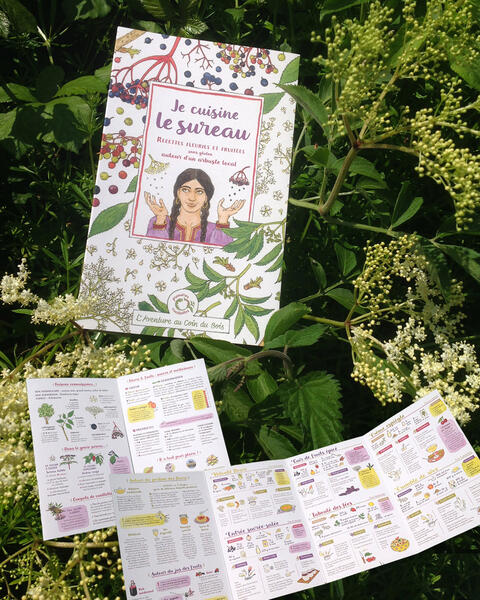 Je cuisine le sureau 02