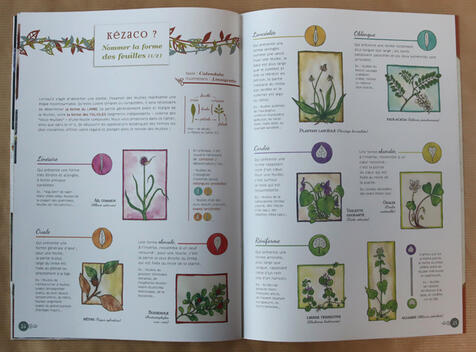 Cahier pratique &amp; sauvage n°4