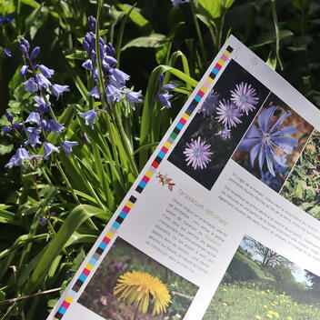 Cahier pratique &amp; sauvage n°4