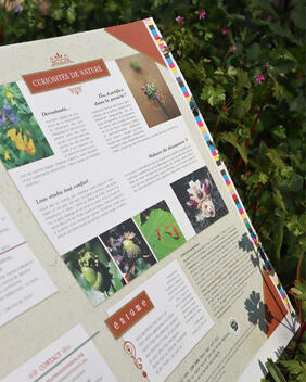 Cahier pratique & sauvage n°4 Cahier pratique & sauvage n°4