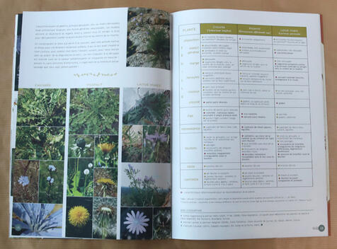 Cahier pratique &amp; sauvage n°4