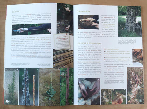 Cahier pratique &amp; sauvage n°4