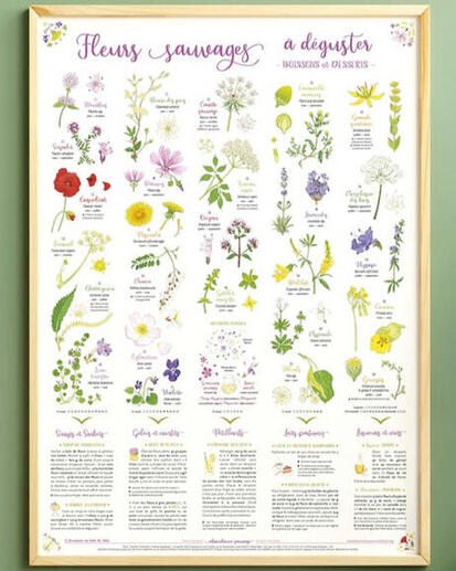 Affiche Fleurs sauvages