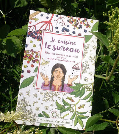 Cuisiner les fleurs et les fruits du sureau noir, Sambucus nigra, recettes sans gluten